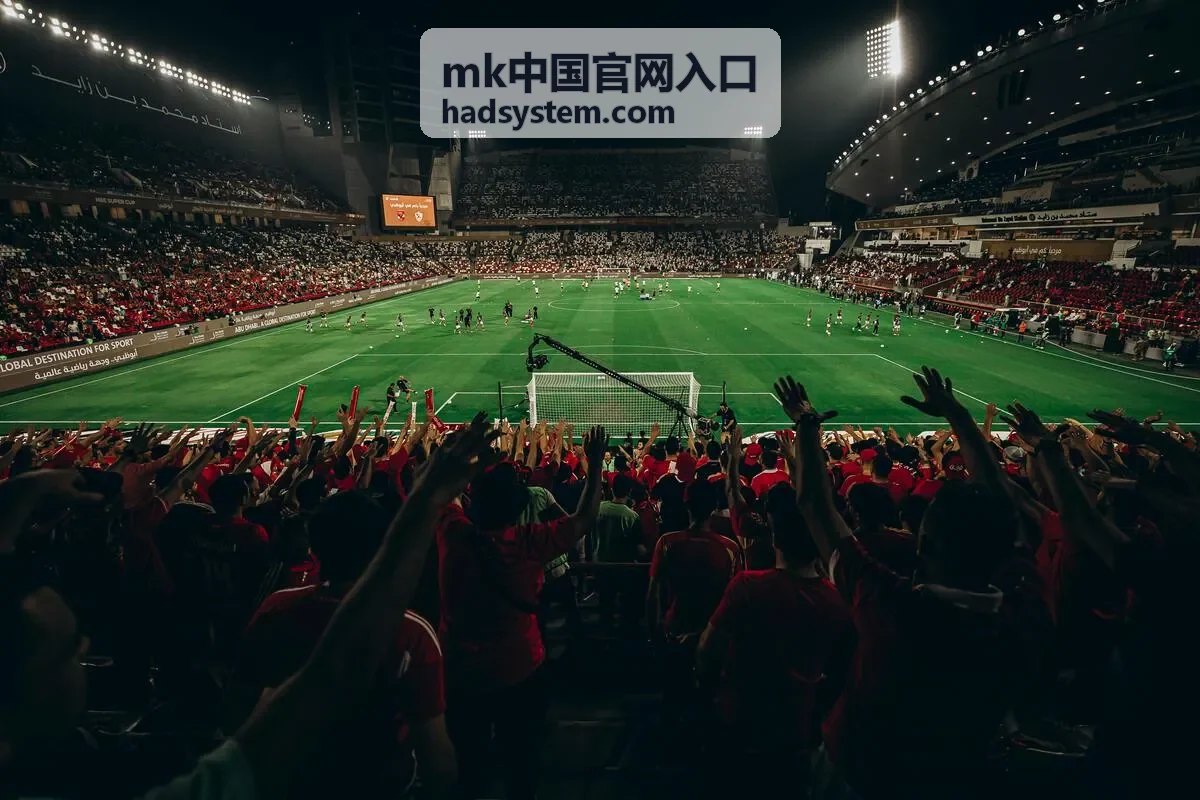 mk中国官网入口核验界面示意